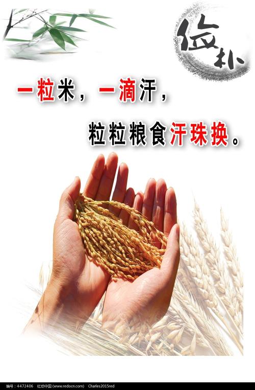 平成国際大学学历认证